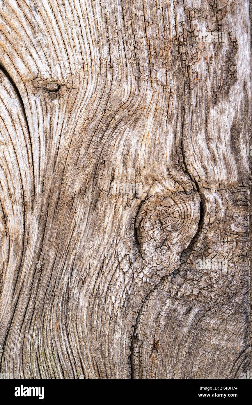 Wood plank textured background material Stock Photo