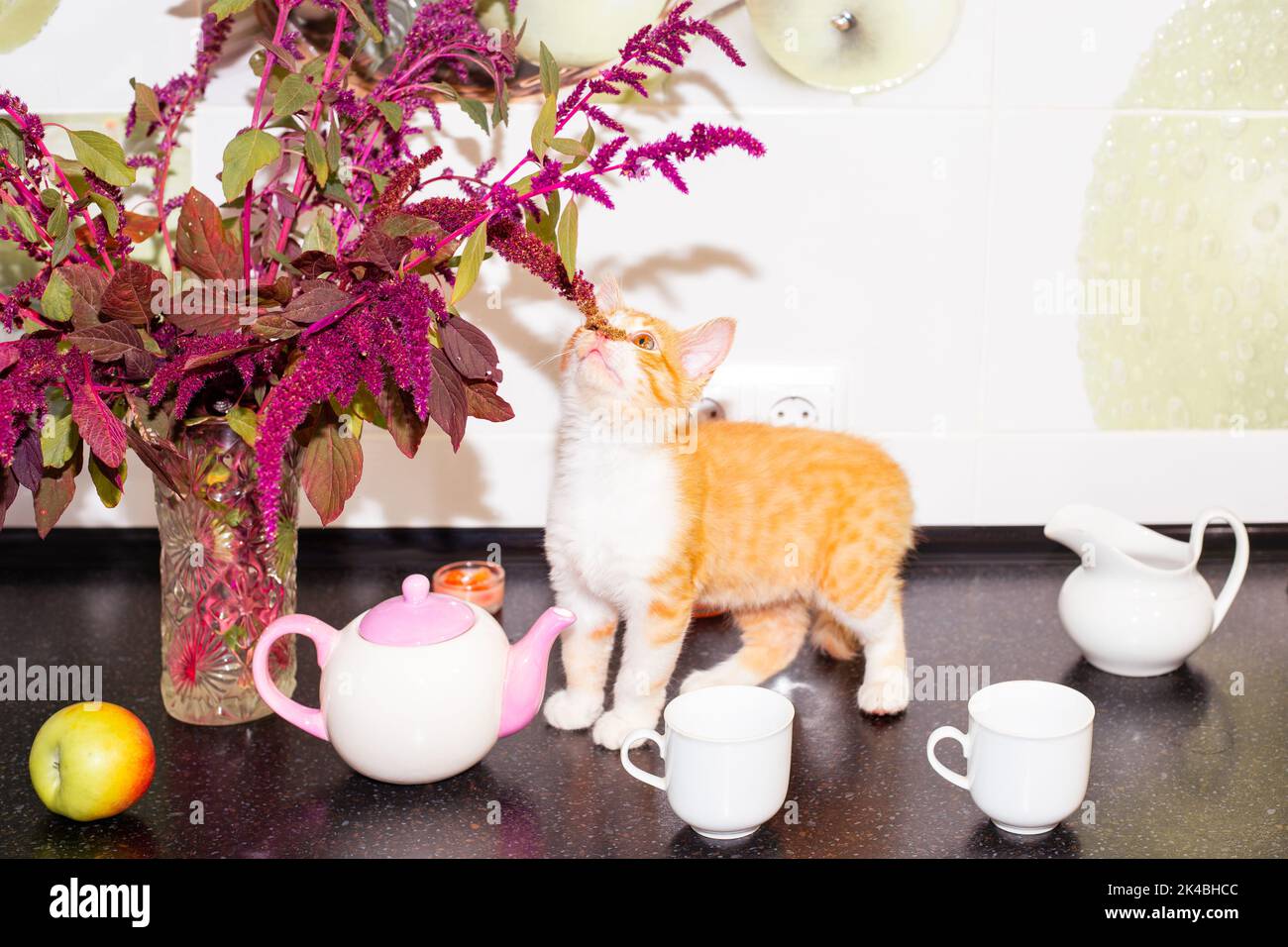 Ginger kitten smells flowers on the kitchen countertop with dishes