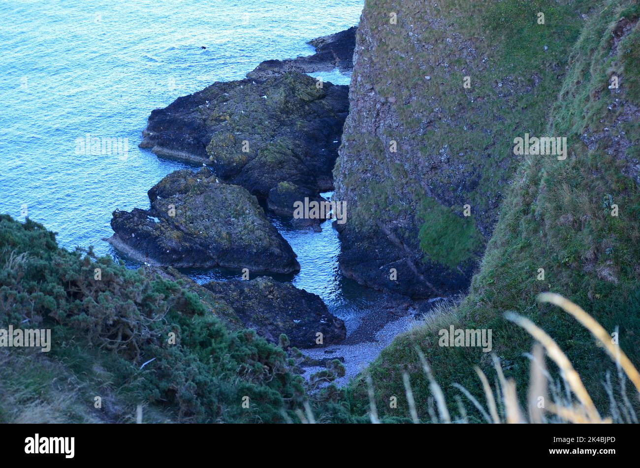 Sea cliffs along the coastal path for Dunottar Castle, Stonehaven ...