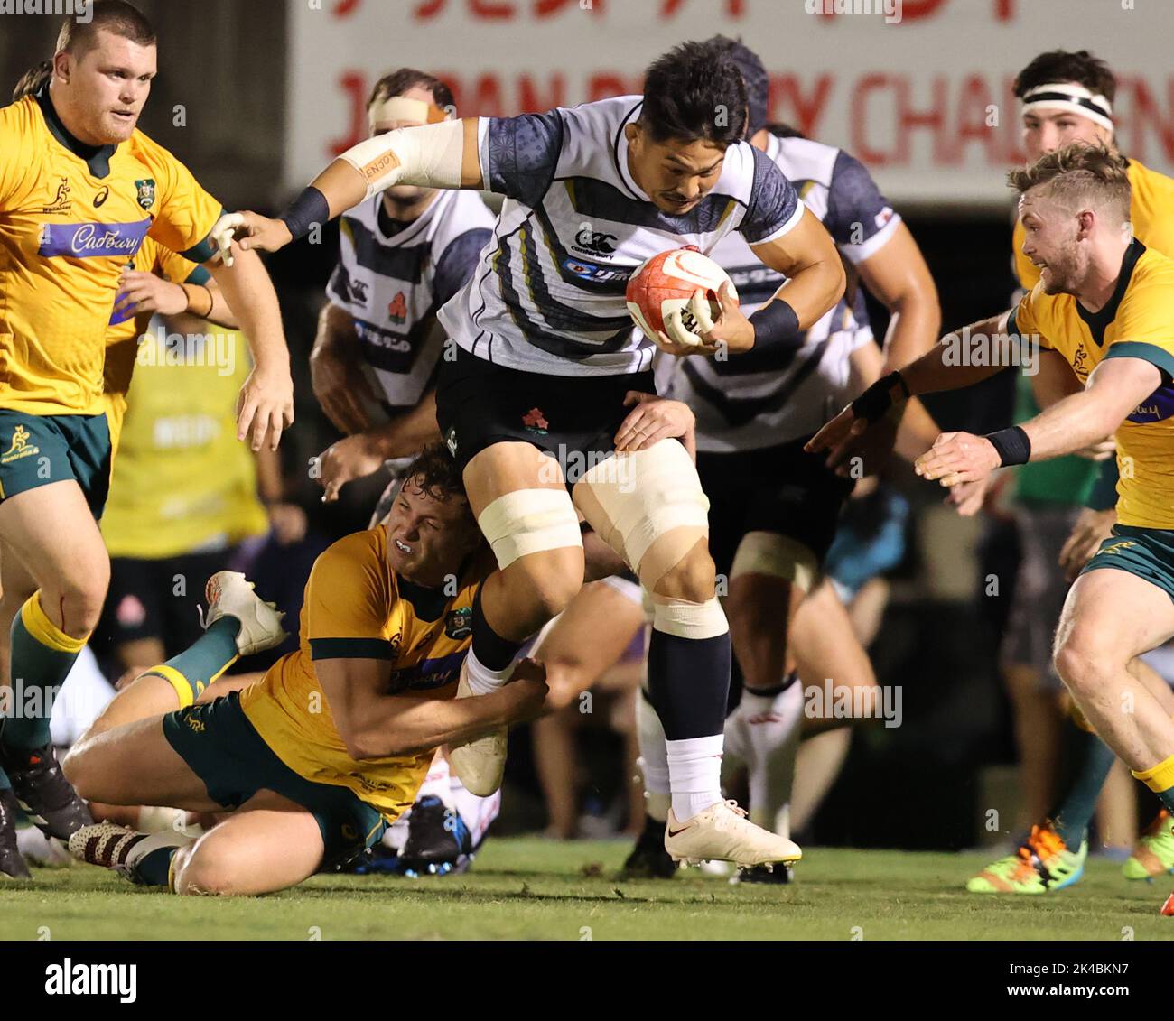 Tokyo, Japan. 1st Oct, 2022. Japan XV flanker Kazuki Himeno carries the ball at an international rugby match against Australia A of Japan Rugby Challenge Series at the Prince Chichibu stadium in Tokyo on Saturday, October 1, 2022. Japan was defeated by Australia A 22-34. Credit: Yoshio Tsunoda/AFLO/Alamy Live News Stock Photo