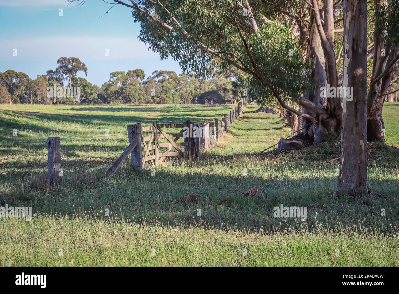Wooden gate on a landscape hi-res stock photography and images - Alamy
