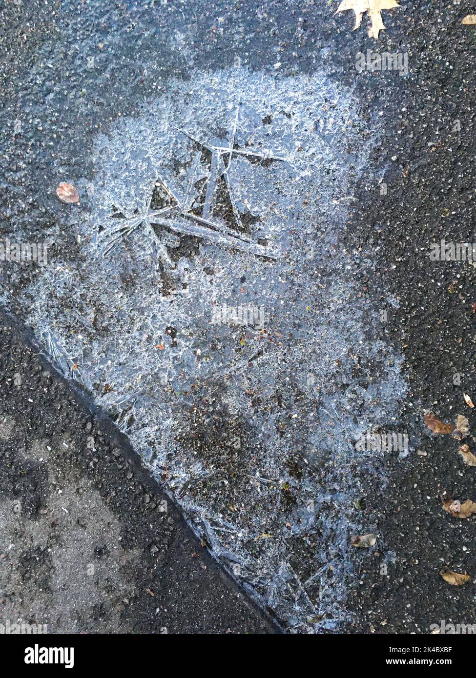 Zugefrorene Pfütze mit filigranen Eiskristallen auf einer Straße Stock Photo