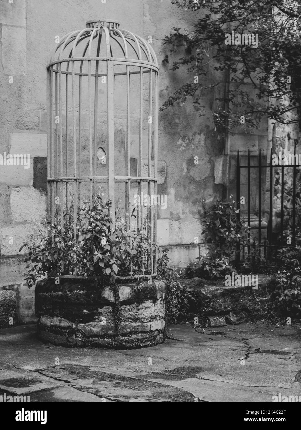 A vertical of flowers growing in a cage in a garden in Paris, France shot in grayscale Stock Photo