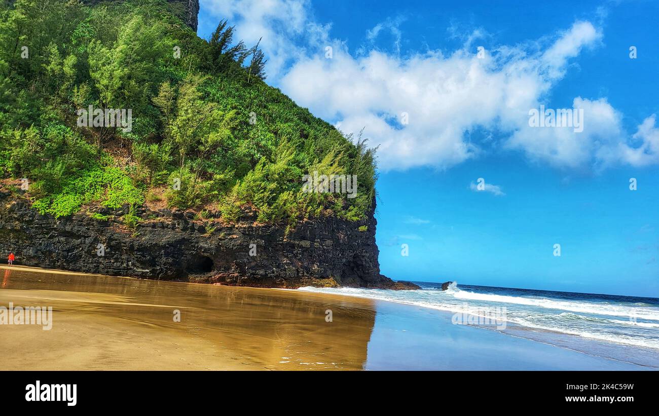 A rocky cliff with trees overlooking the blue ocean Stock Photo - Alamy