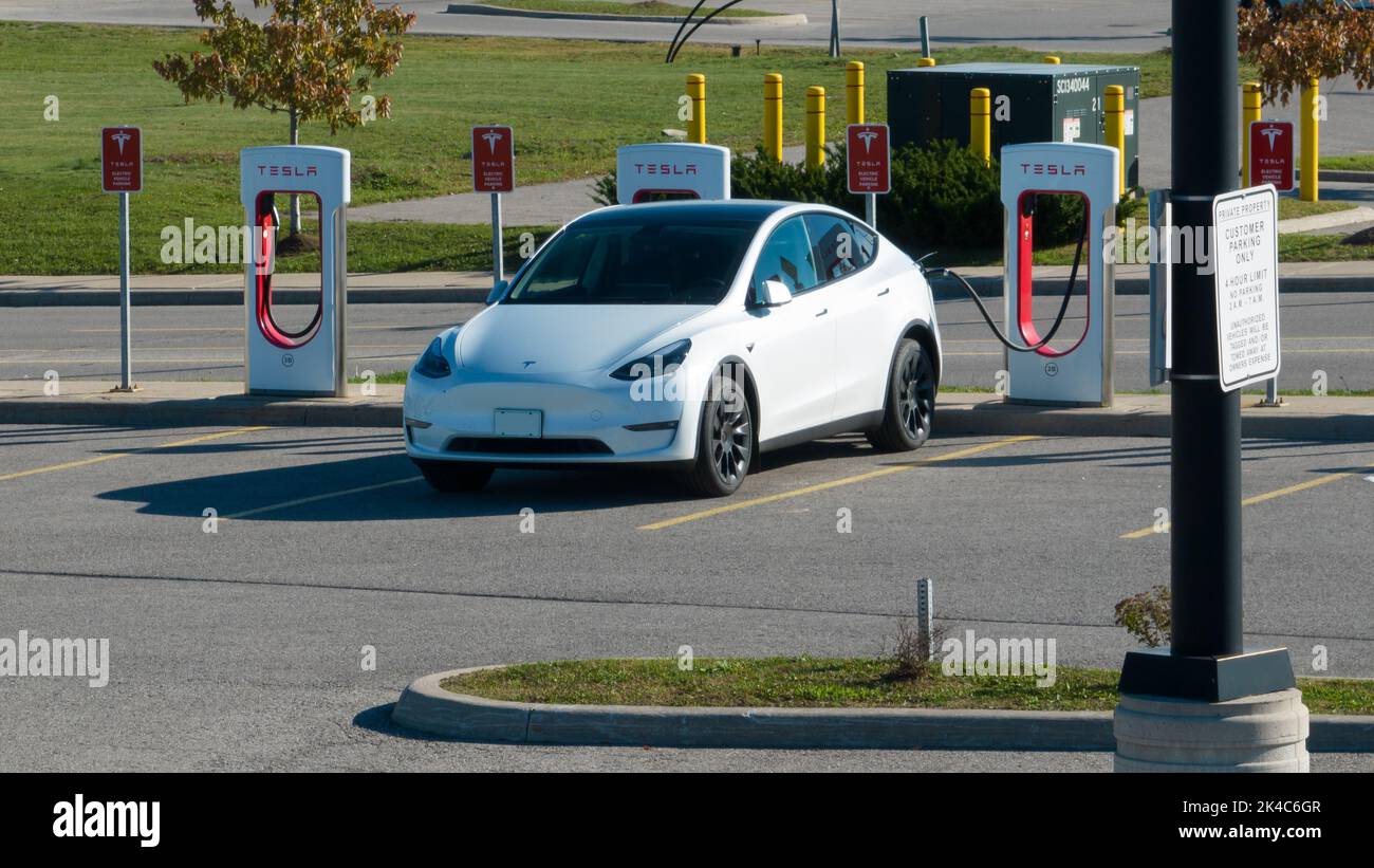 A white Tesla Model Y, Tesla's bestselling car model, is seen plugged