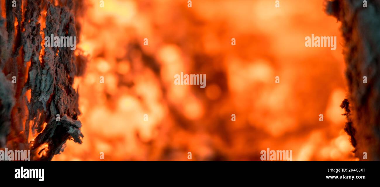 A closeup shot of orange flames and burning wood in a fireplace Stock Photo