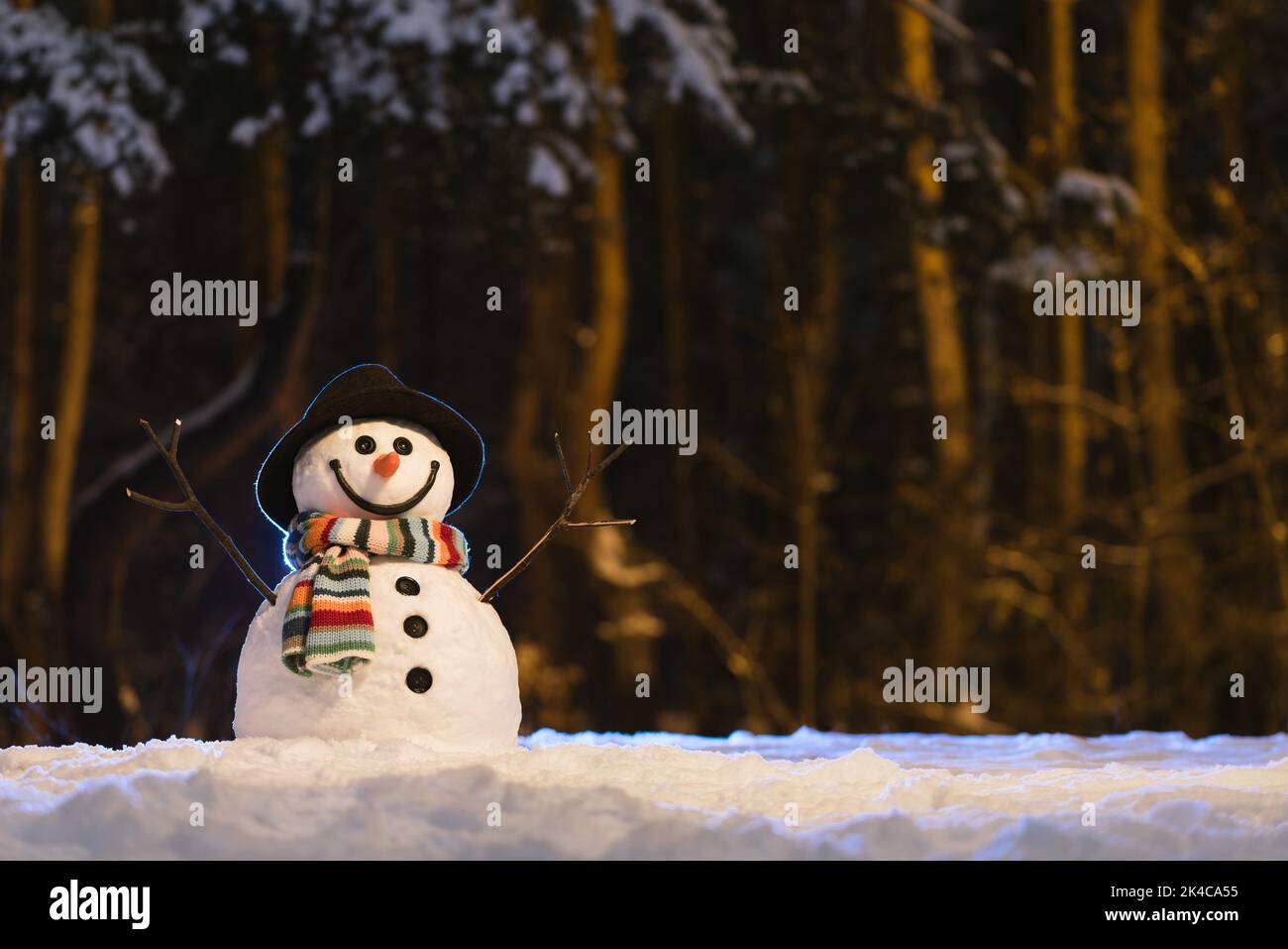 Festive background with a cheerful snowman on a dark background in the evening park Stock Photo