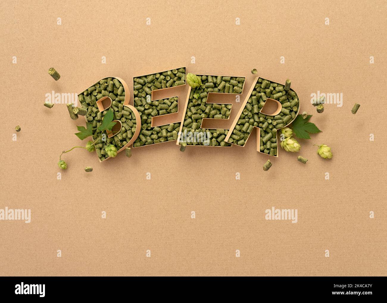 Typography of the word Beer with hops with copy space Stock Photo