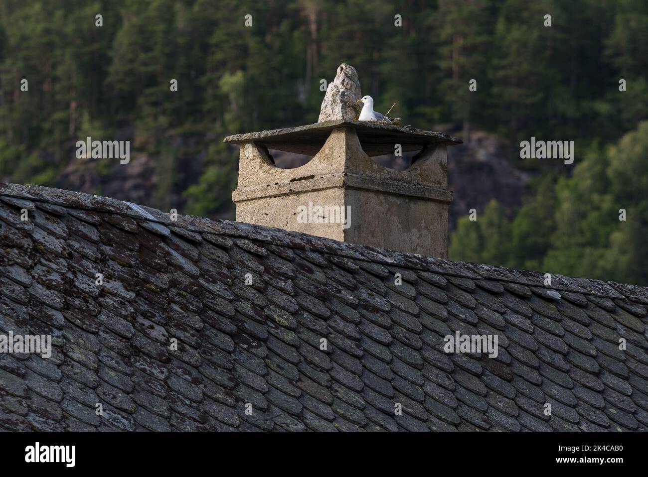 Traditional stone chimney in Norway Stock Photo