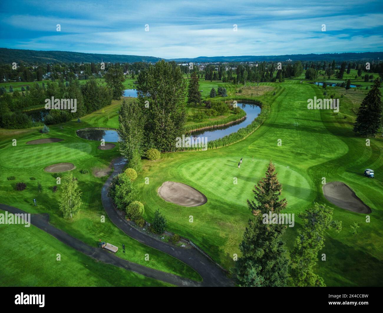 An aerial view of a beautiful forest on a sunny day Stock Photo - Alamy