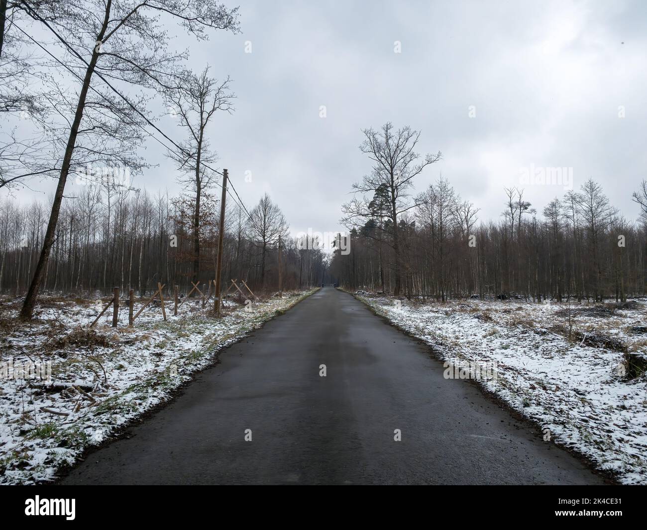 The empty asphalt road through the snowy field Stock Photo - Alamy