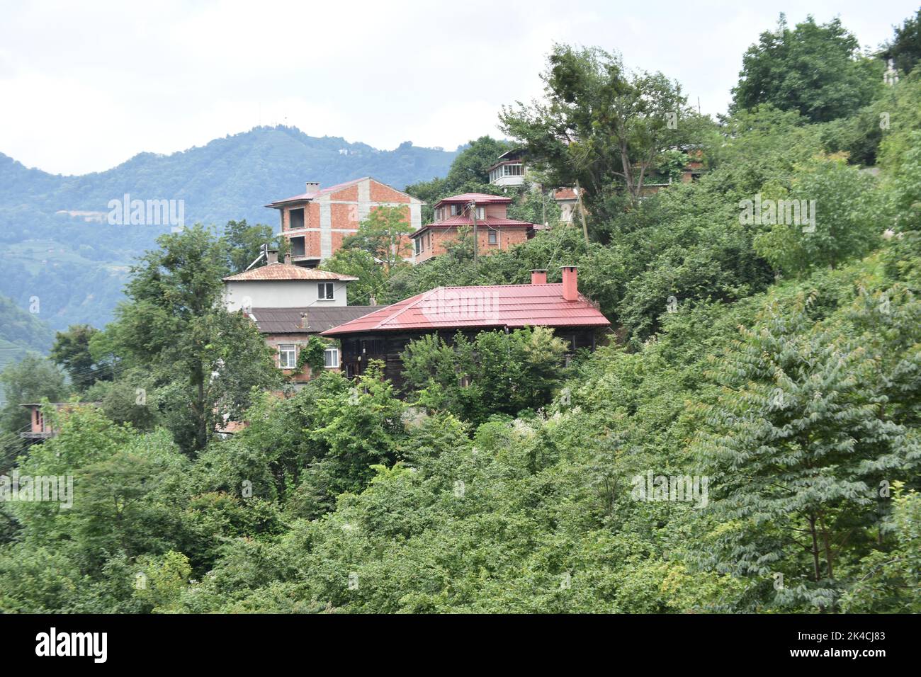 The building surrounded with trees in the forest Stock Photo - Alamy