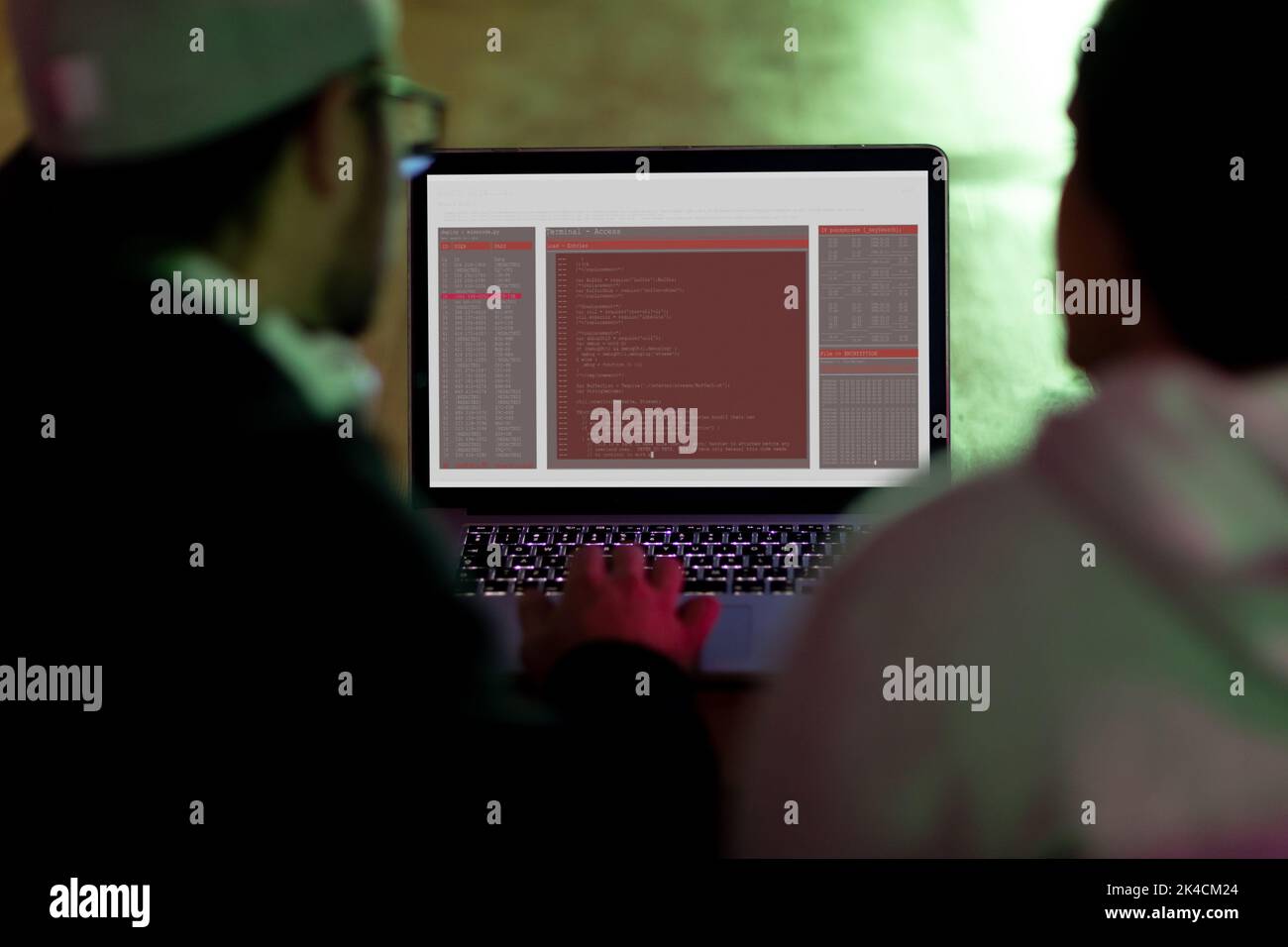 Back view of two diverse male colleagues at desk using computer with ...