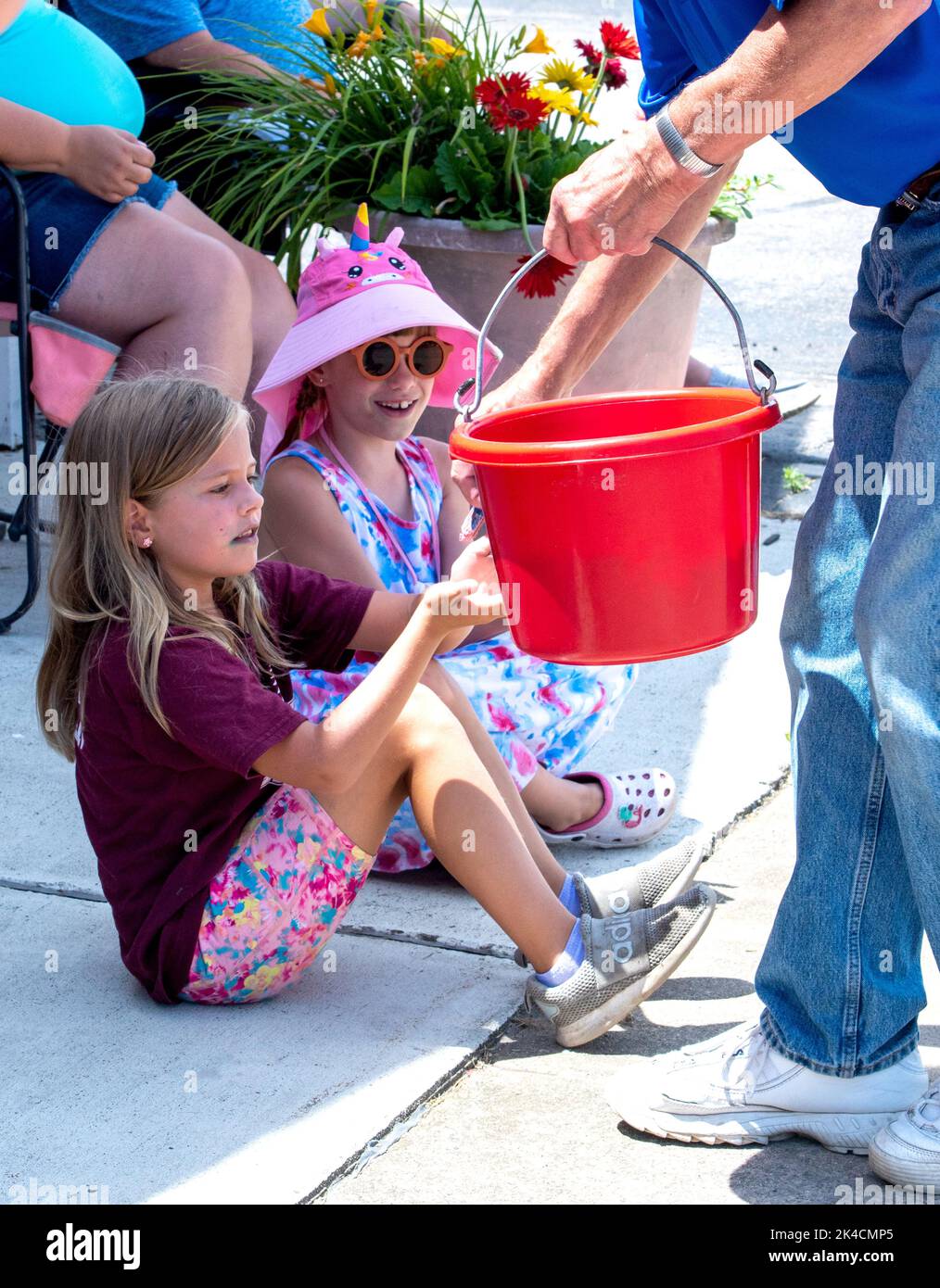 brimley mi 4th of july parade