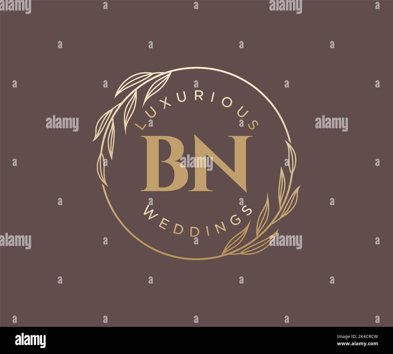 Bn Logo Images – Browse 1,499 Stock Photos, Vectors, and Video