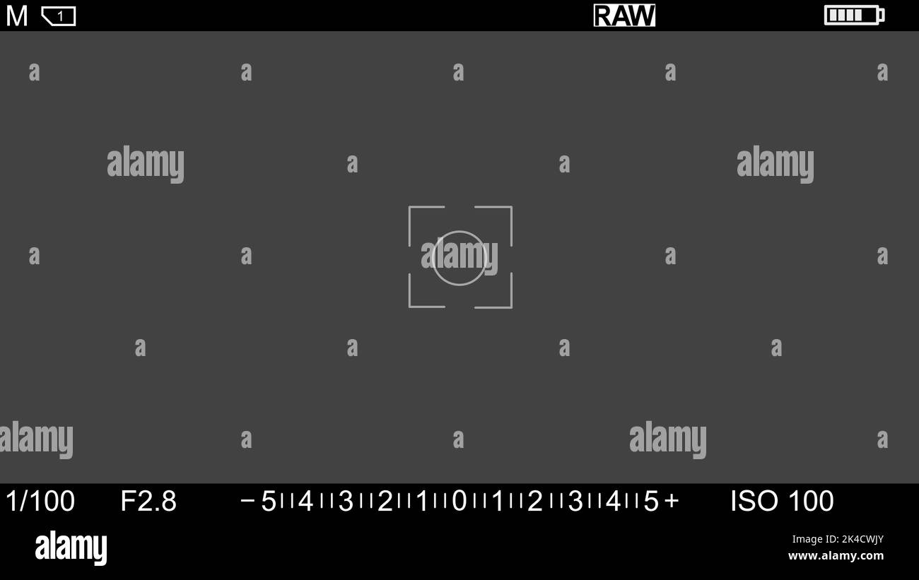A camera screen when shooting Stock Vector Image & Art Alamy