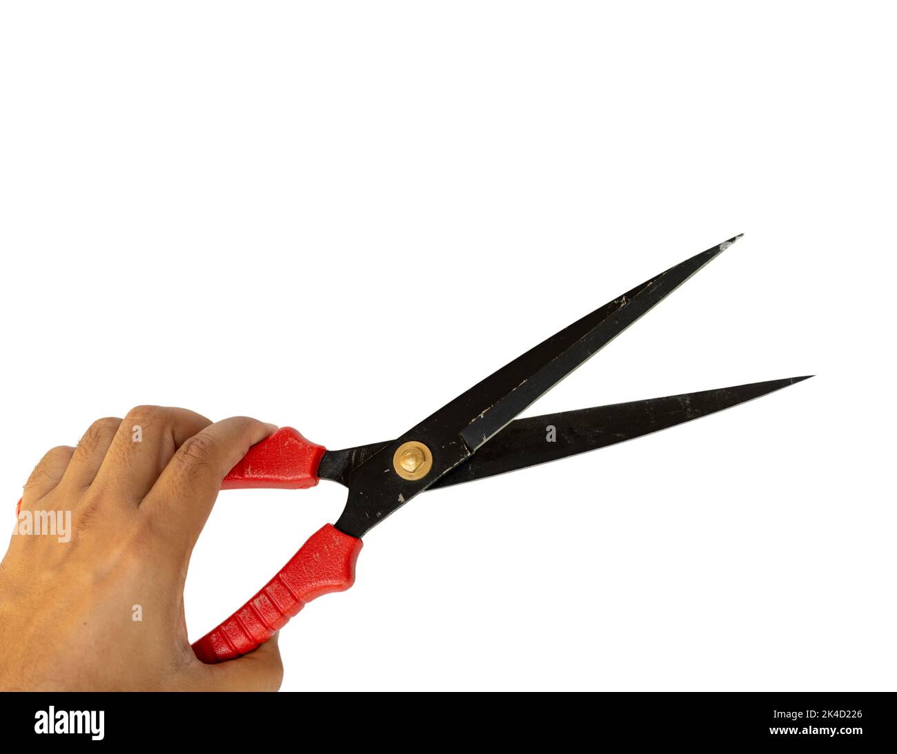 Plants pruning scissors holding in hand Stock Photo Alamy
