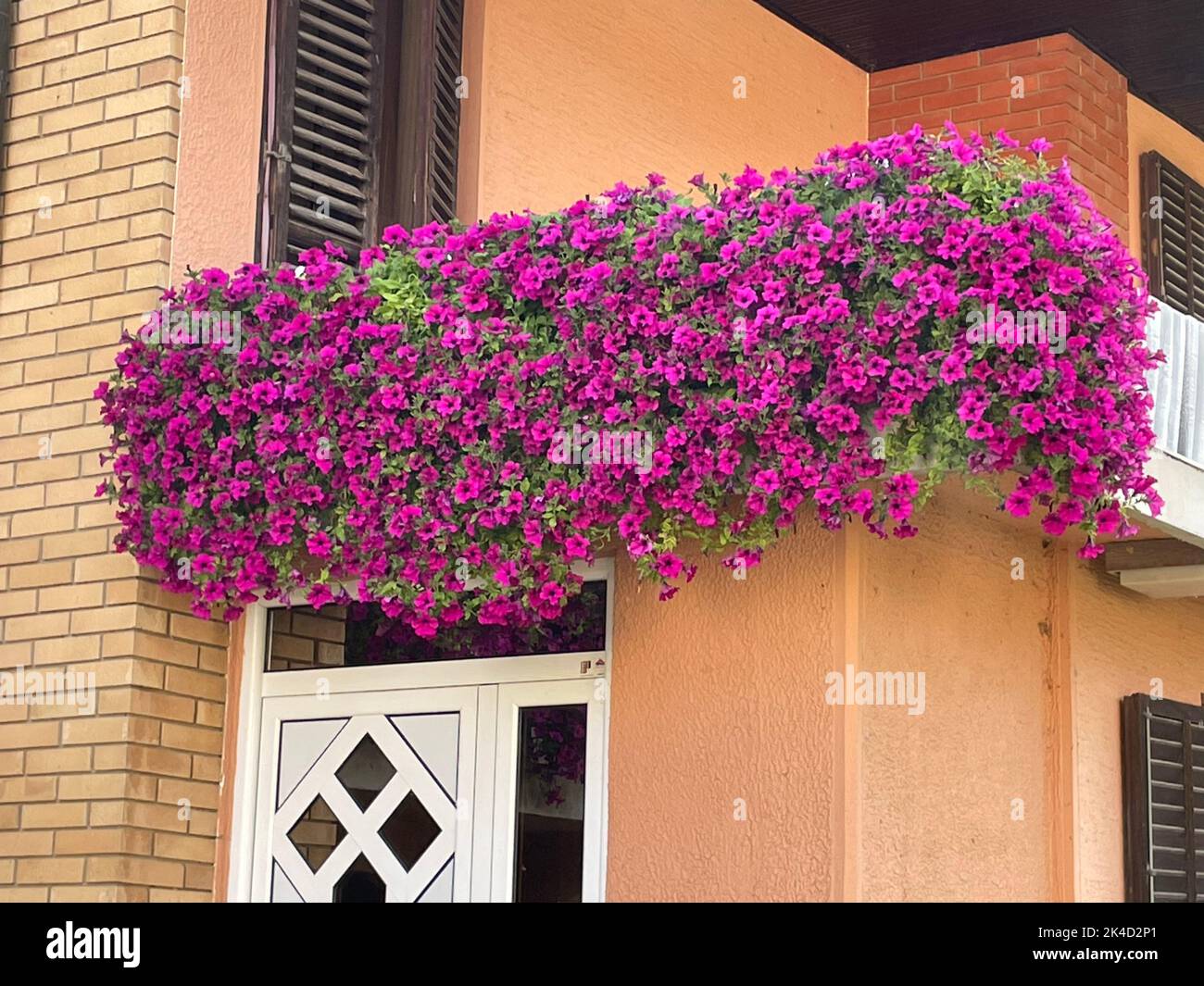 wisteria bouquet 5 Bushes 44 in tall Hanging Artificial Wisteria Flowers Vine Garland main image 0