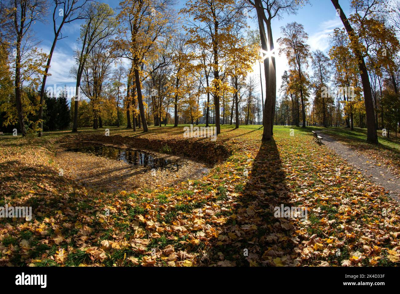 Golden autumn in old manor park, Lithuania, fisheye view Stock Photo