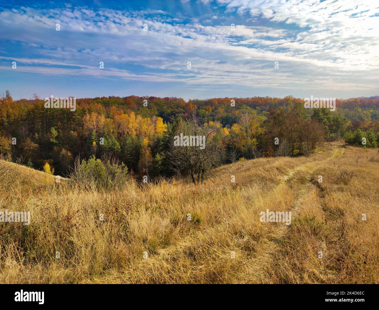 An aerial view of a beautiful forest on a sunny day Stock Photo - Alamy