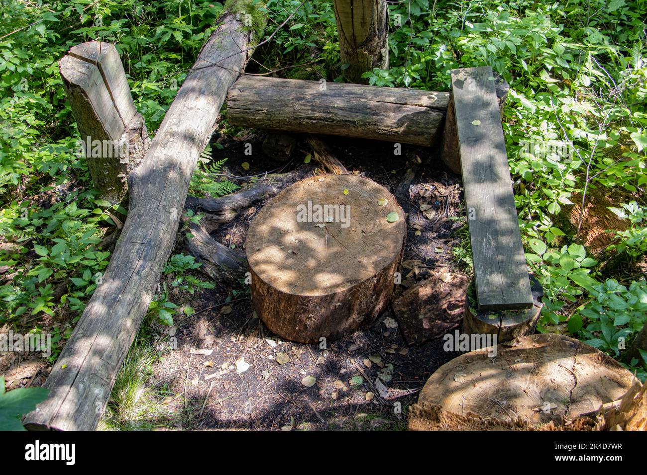A natural seating from tree trunks in the forest Stock Photo