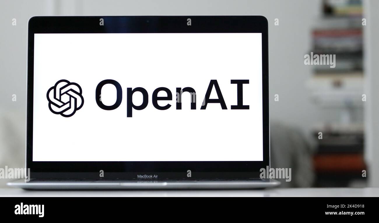 The logo of OpenAI, an Elon Musk - founded American AI company, is