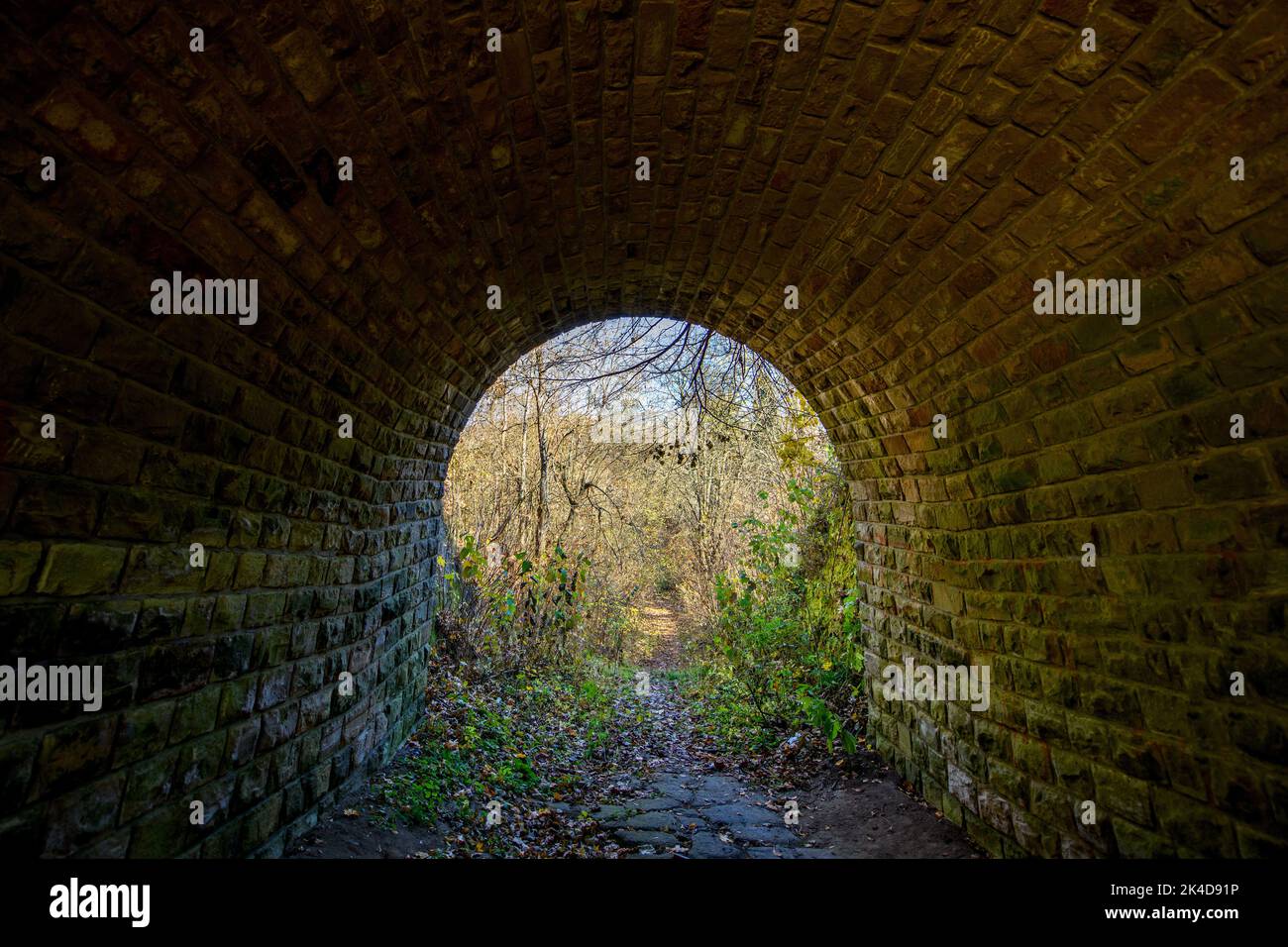 Mystery small stone tunnel in the autumn forest Stock Photo