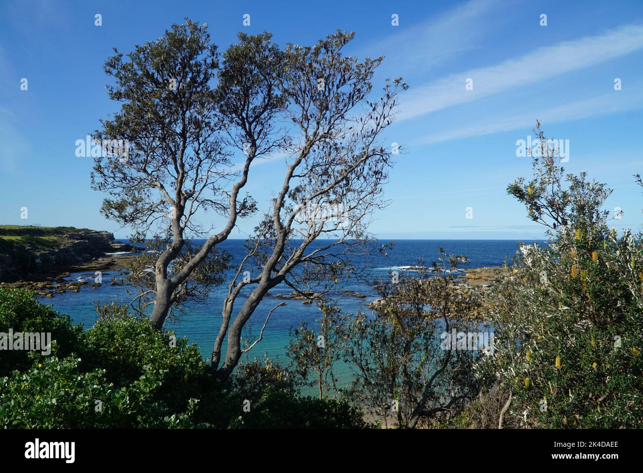 Body of trees hi-res stock photography and images - Alamy