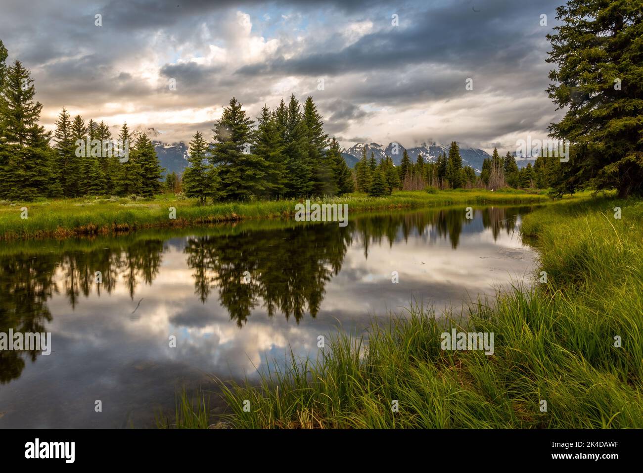 A Beaver Pond At Schwabacher Landing In Grand Teton National Park With a-beaver-pond-at-schwabacher-landing-in-grand-teton-national-park-with