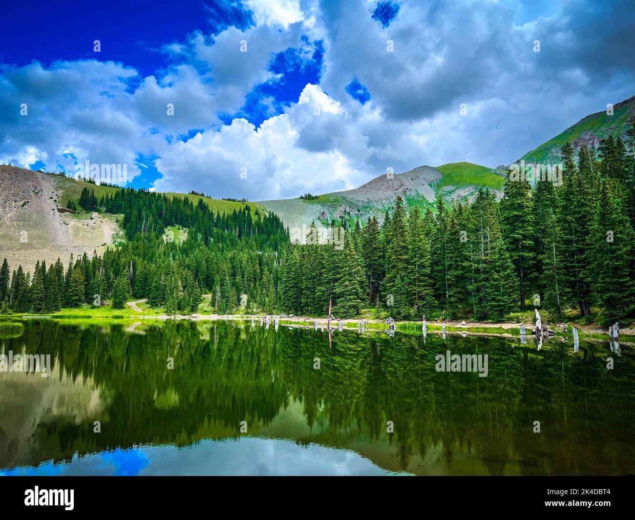 A forest reflected in the lake Stock Photo - Alamy