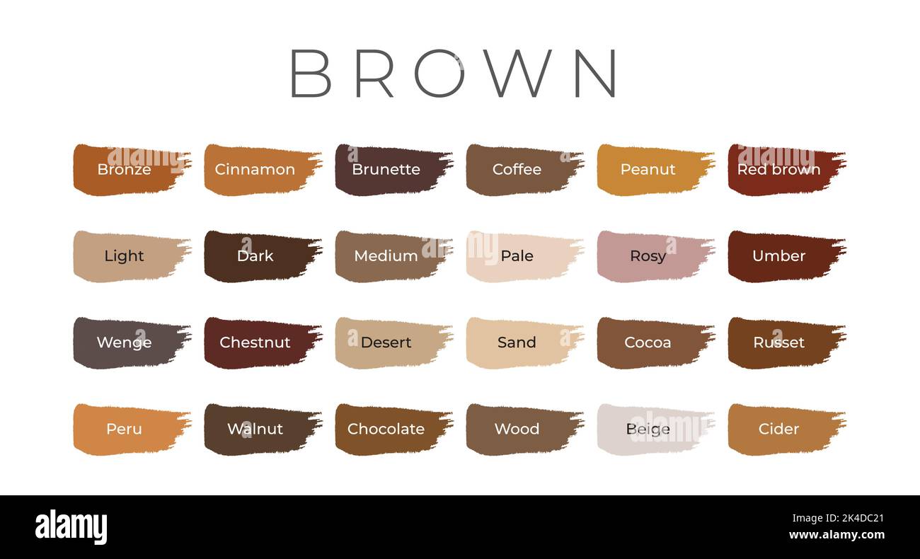 Walnut Stain Stock Vector Images Alamy