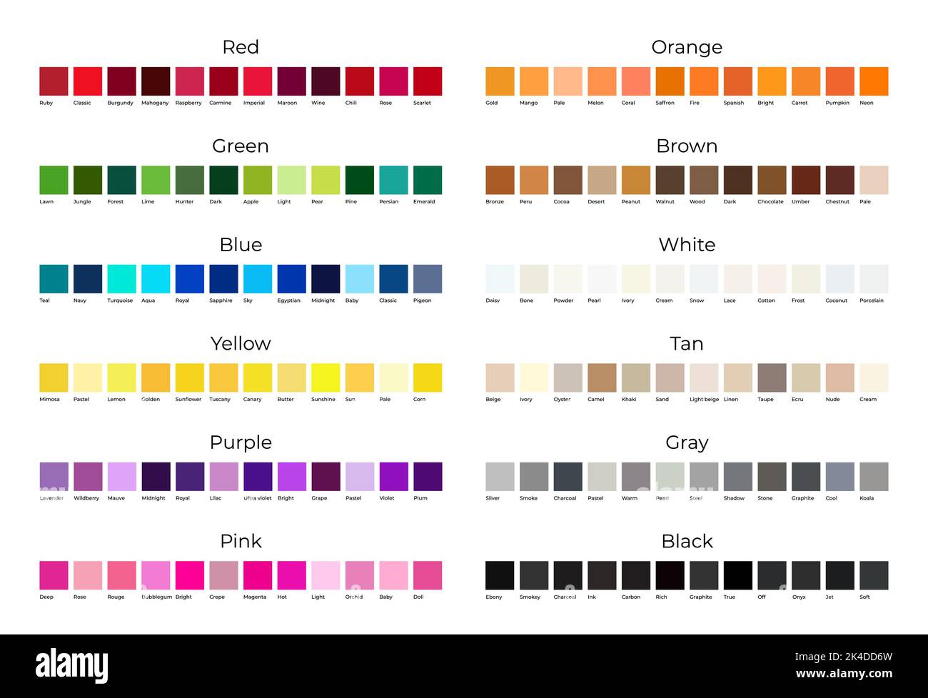 Tan paint color swatches with shade names Vector Image