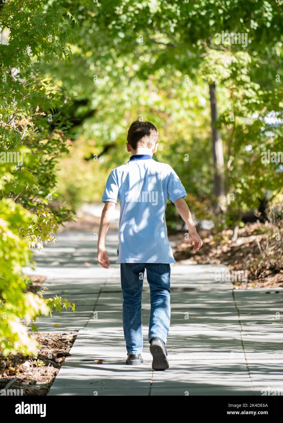 Blond teenage boy casual clothing walking relaxed along alley with trees and shadows. Bushes as blurred background. Stock Photo