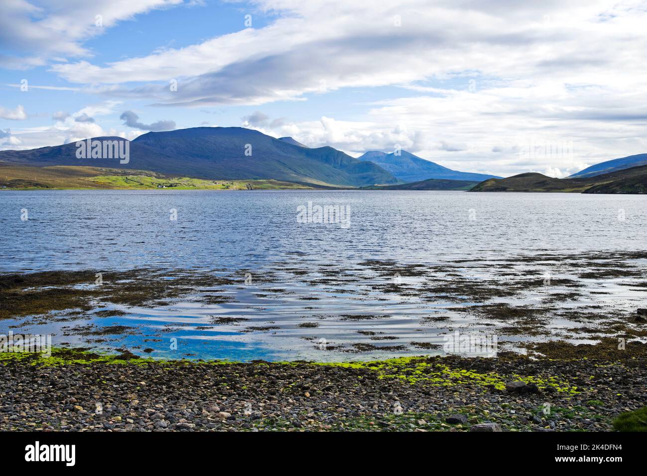 Seaweed floating in calm water by a pebble beach at the edge of the Kyle of Durness. Beinn Spionnaidh, Cranstackie  Foinaven rising on the horizon. Stock Photo