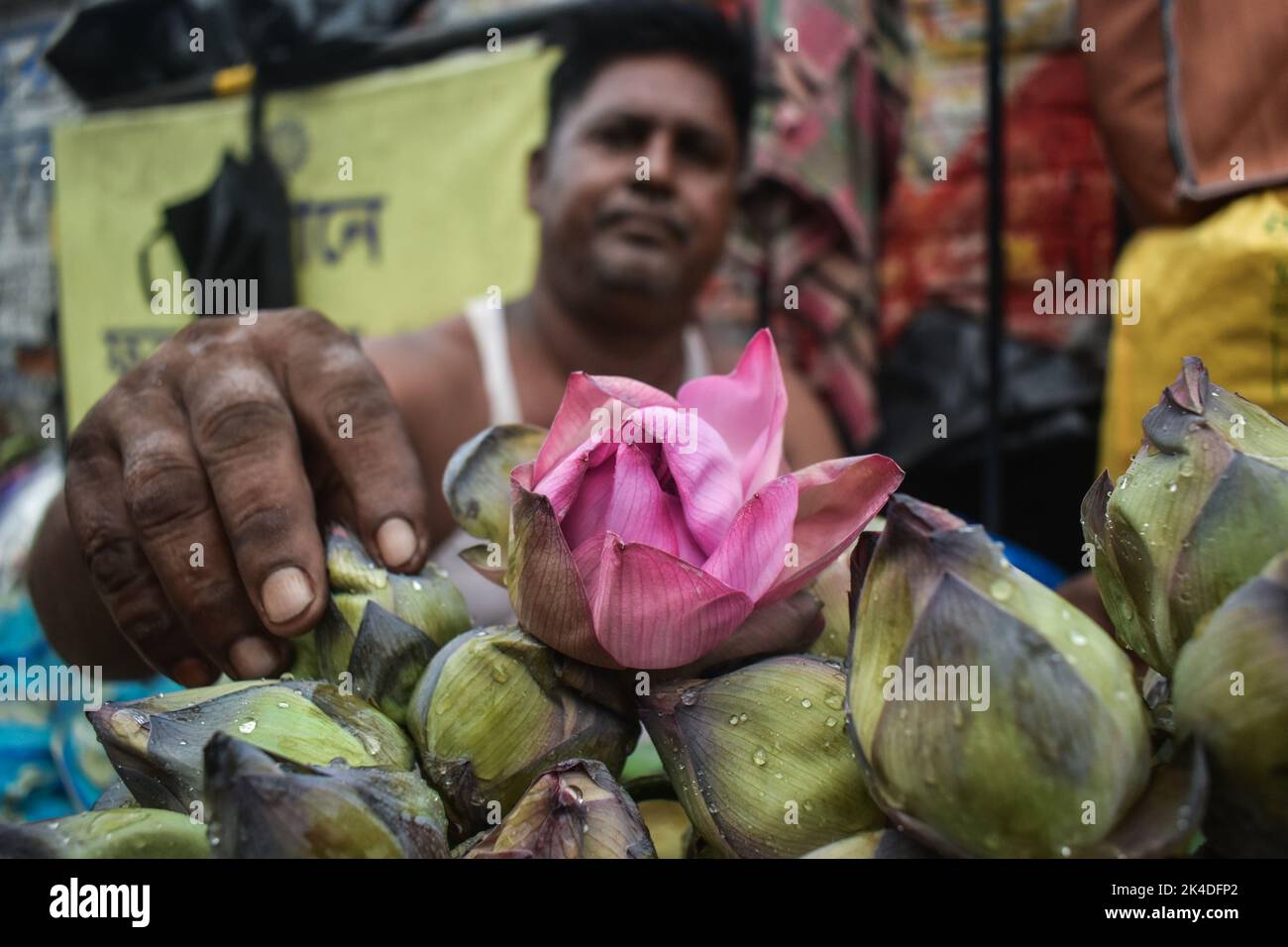 Kolkata, India. 02nd Oct, 2022. A person is selling lotus flowers inside a flower market during