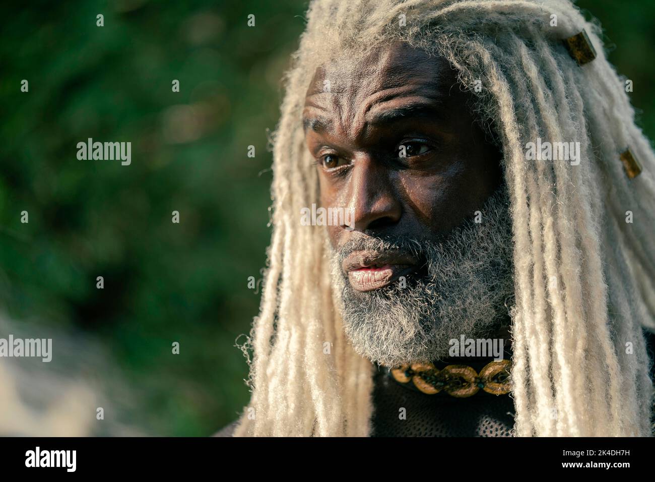 STEVE TOUSSAINT in HOUSE OF THE DRAGON (2022), directed by CLARE KILNER and MIGUEL SAPOCHNIK. Credit: HBO / Good Banana / Album Stock Photo