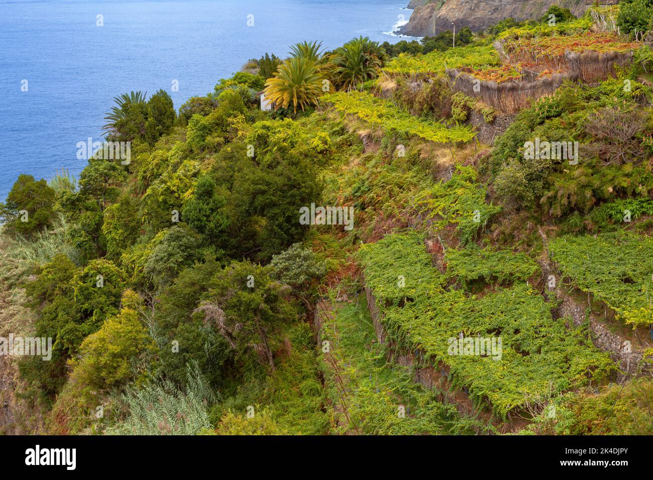 Sao Vicente Valley ,Madeira, Portugal, Europe Stock Photo