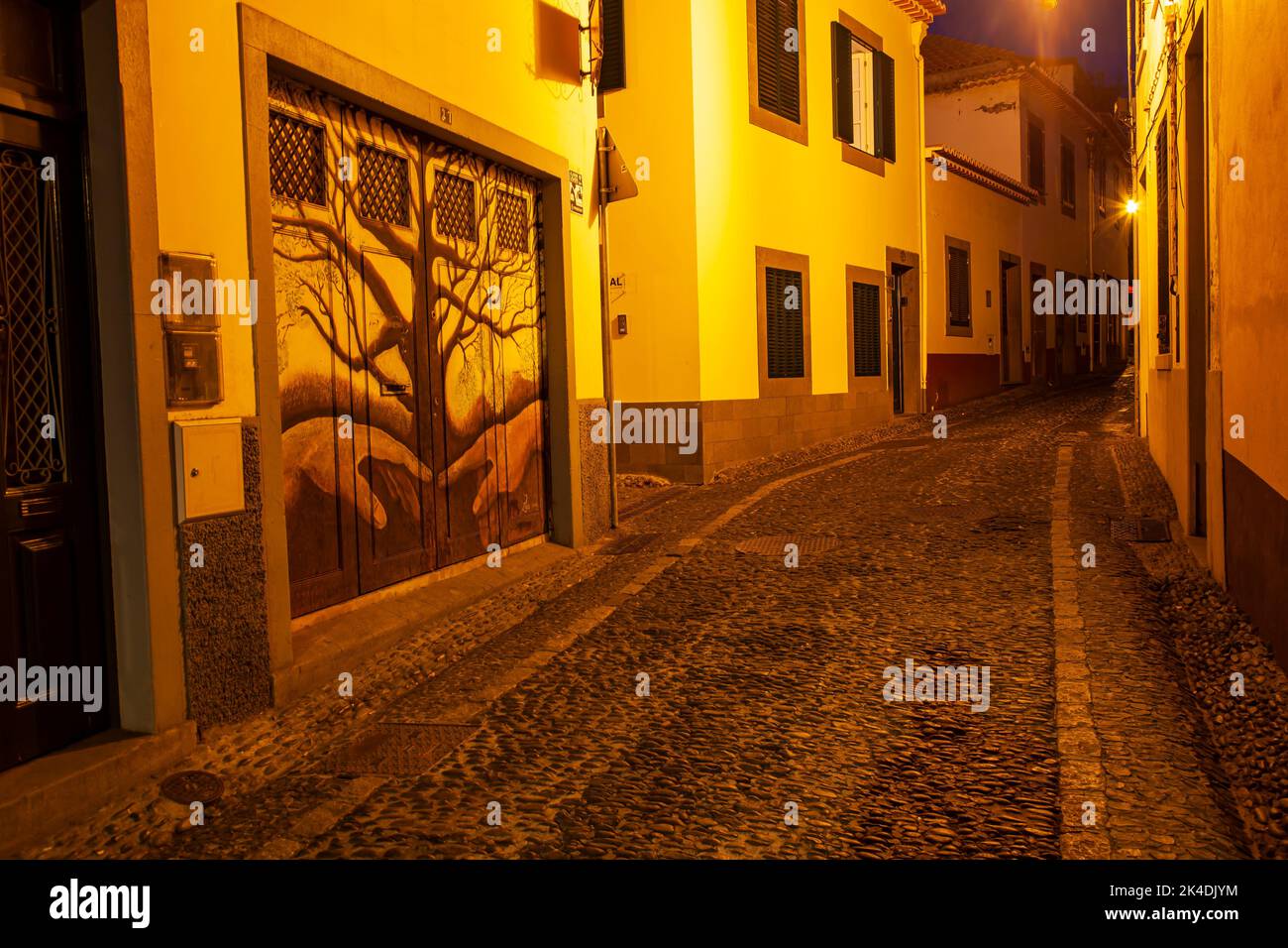Alley in the old town by night, Funchal, Madeira, Portugal, Europe Stock Photo