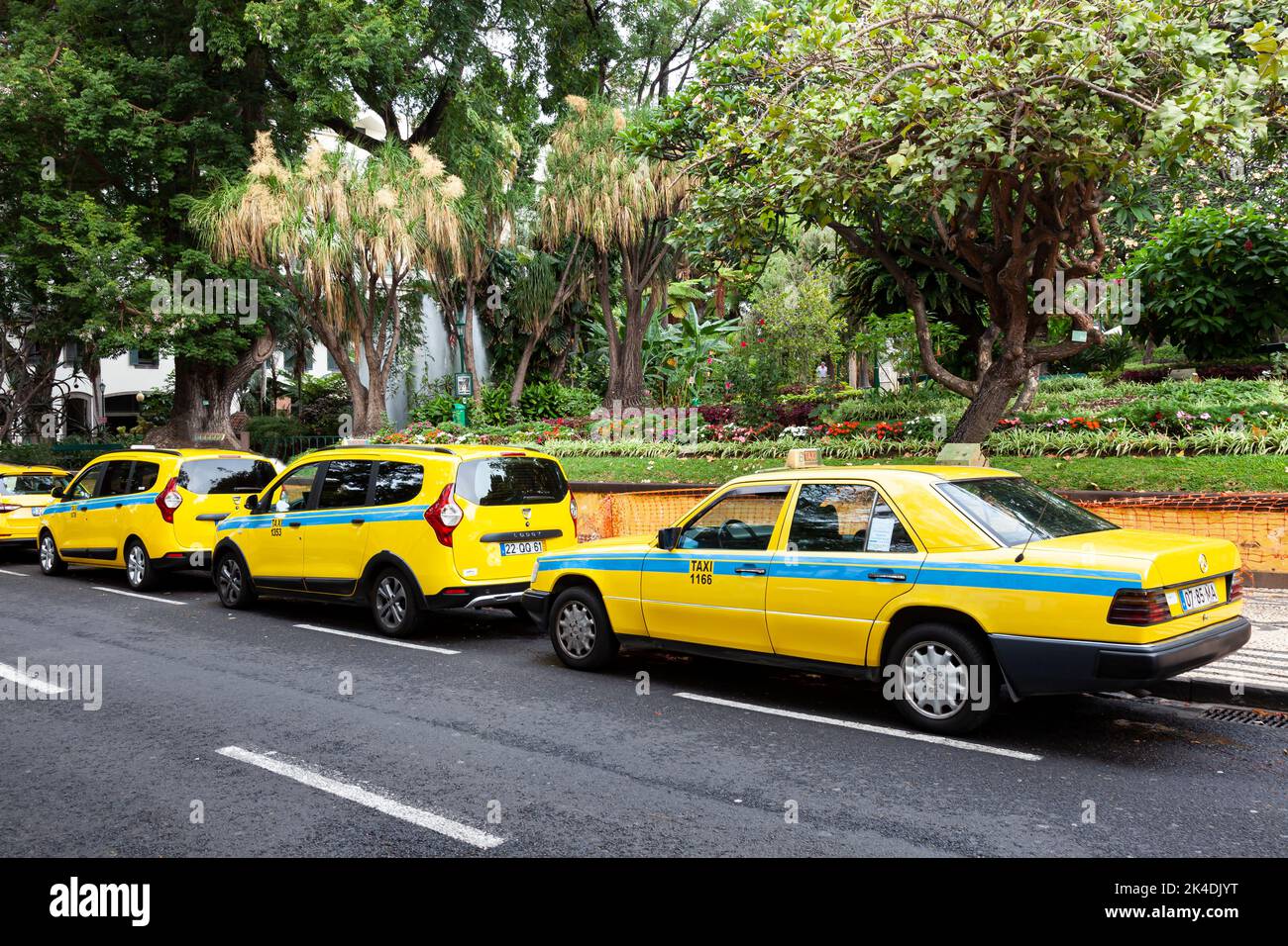 Waiting taxis in the Av. Arriaga in the historic town centre of Funchal,  Santa Luzia, Funchal, Madeira, Portugal ,Europe Stock Photo