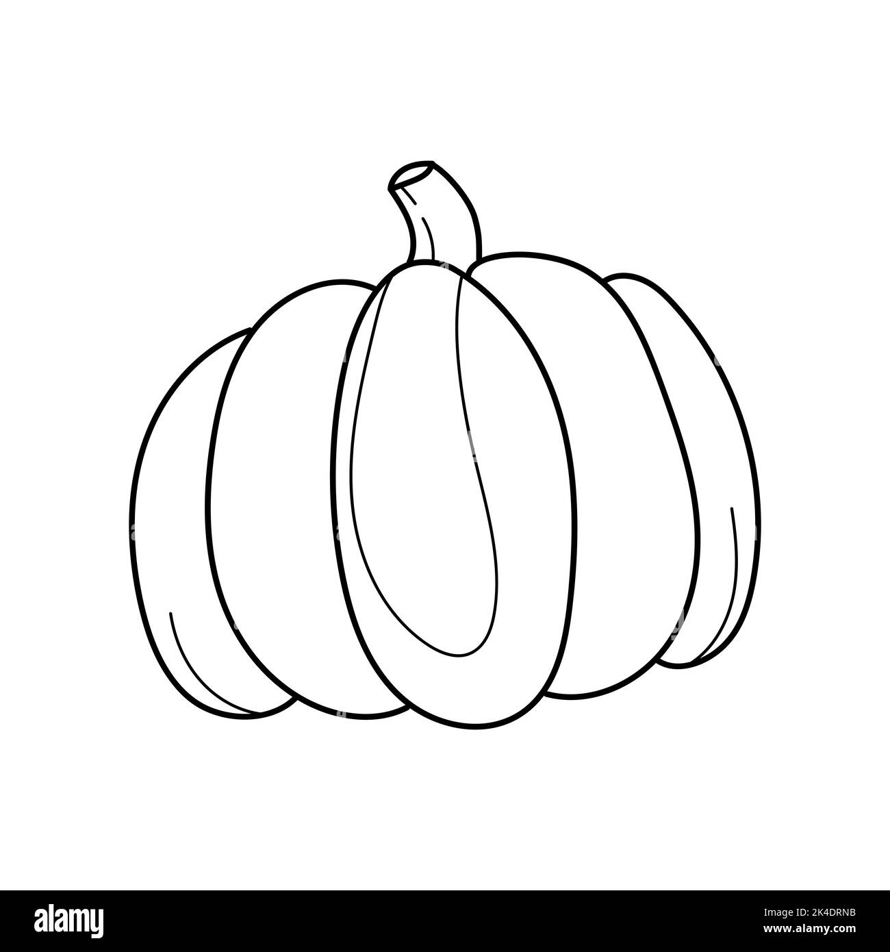 Vector cute black and white pumpkin autumn vegetable outline