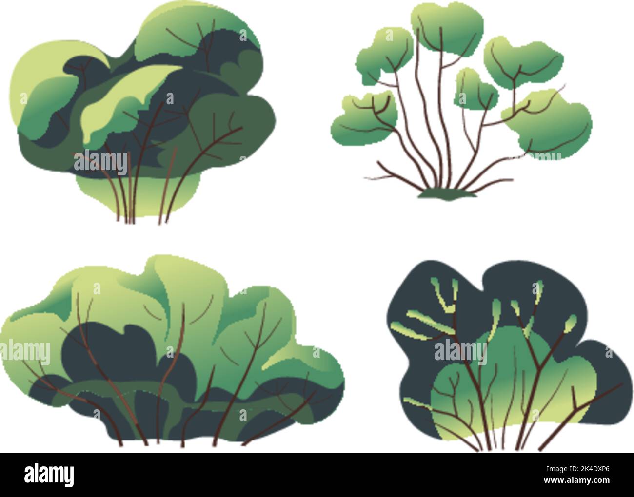 Bush or plant with foliage and branches in park Stock Vector