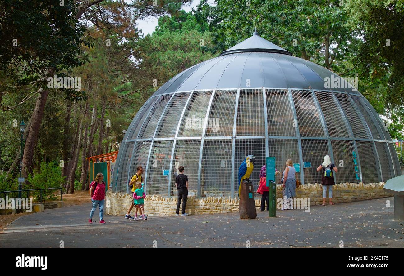 People Viewing The Birds At The Cooper Thomson Rescue Aviary, Pines Wlak, Bournemouth Lower Gardens UK Stock Photo