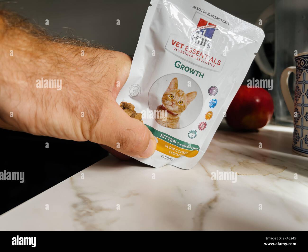 Paris, France - Sep 13, 2022: POV male hand holding carton package with pouches with Hills Vet Essentials growth - modern kitchen background preparing to feed the pet cat animal Stock Photo