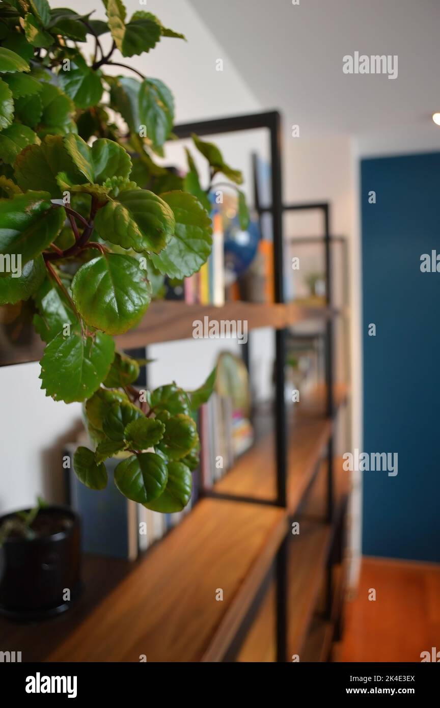 metal and wood bookcase, with drawers person in front passing Stock