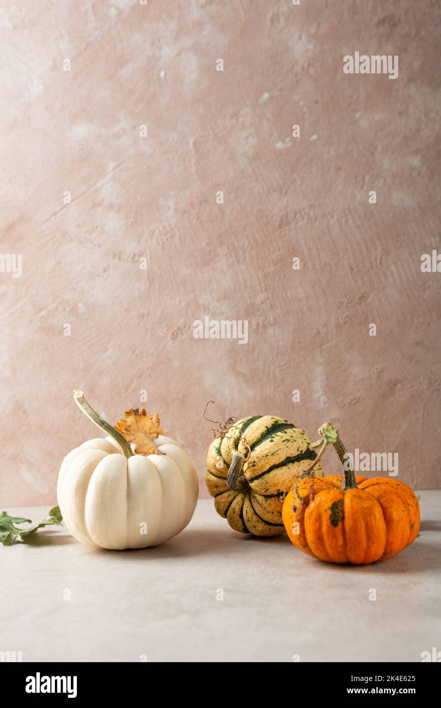 Symbol autumn pumpkin on light surface food and holiday concept copy space Stock Photo