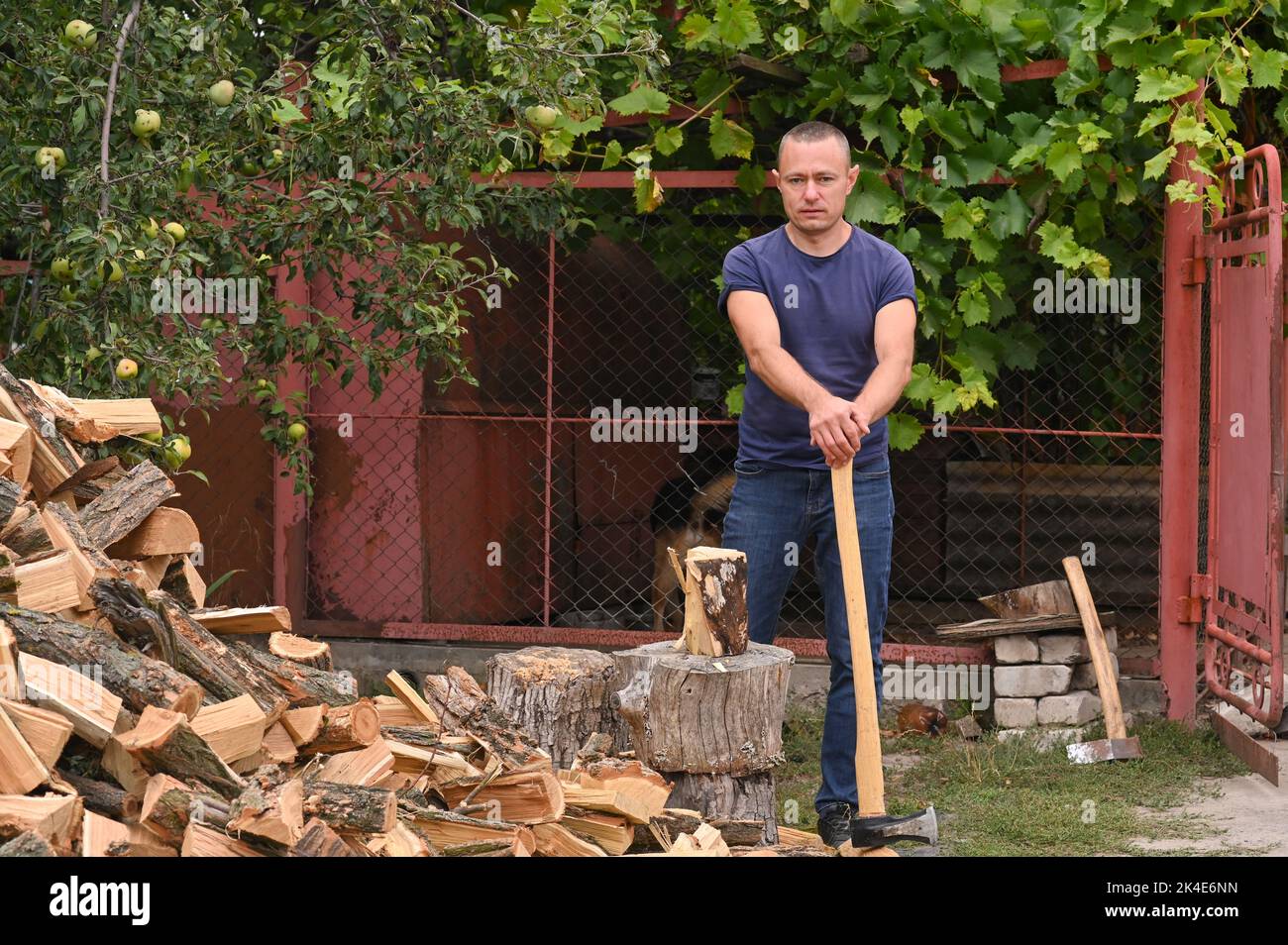 a man with an axe stands next to a chopped pile of firewood Stock Photo ...