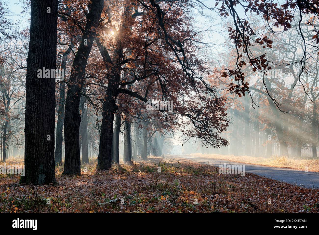 Beautiful sun rays hi-res stock photography and images - Alamy