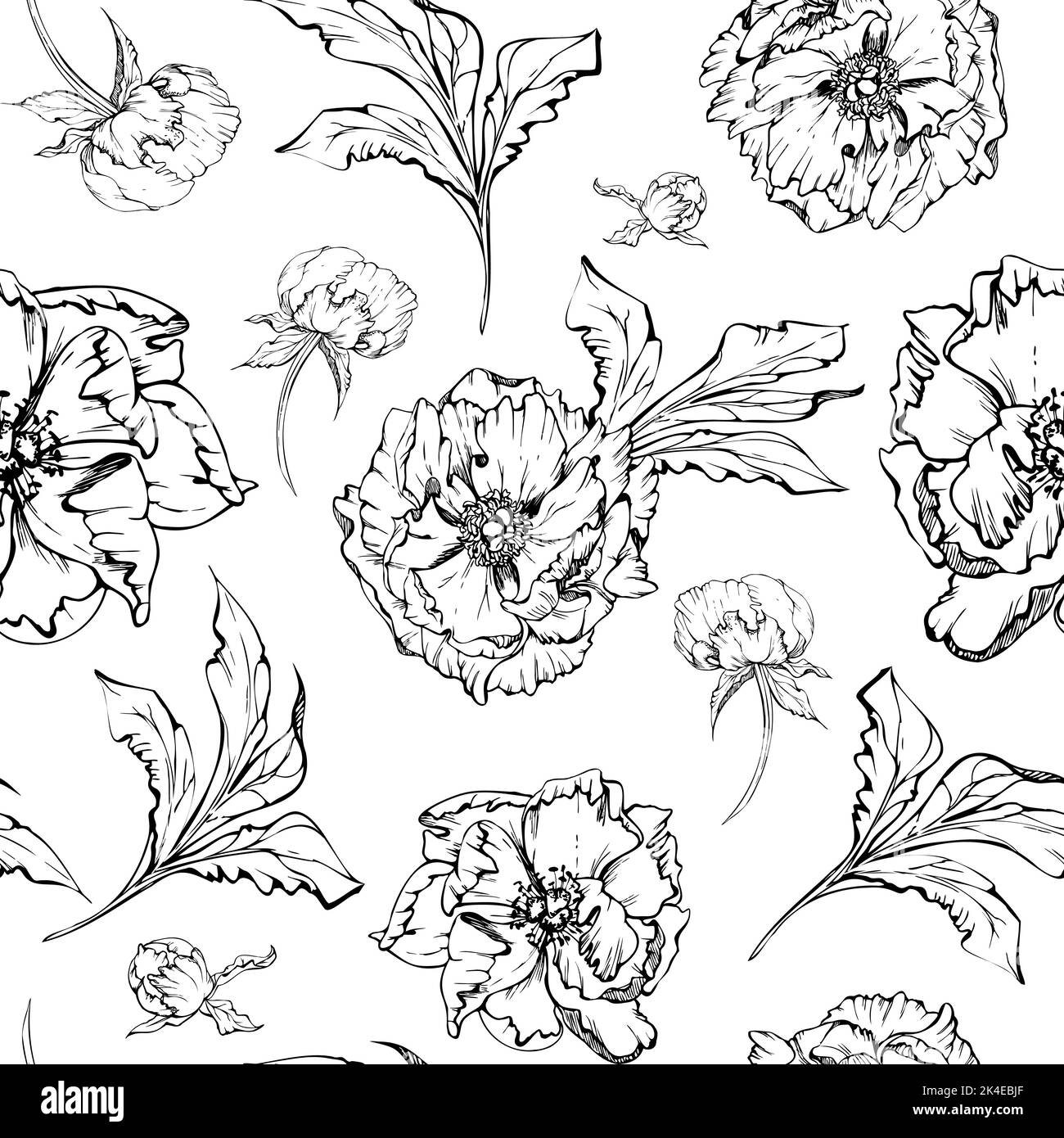 Hand drawn vector seamless pattern with peony flowers, buds and leaves ...