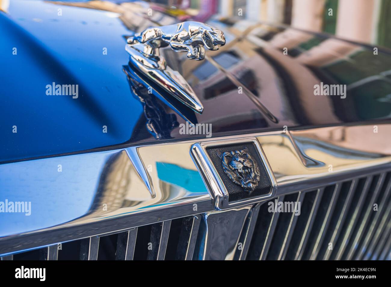 Loriol sur Drome, France - September 17, 2022: Black Jaguar Sovereign