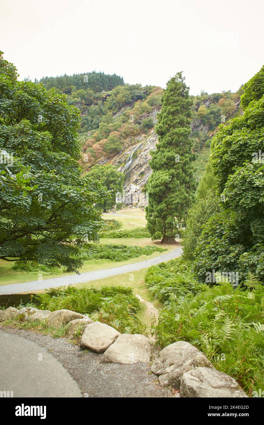 Majestic forest round water cascade of Powerscourt Waterfall, the ...